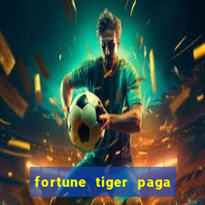 fortune tiger paga de madrugada